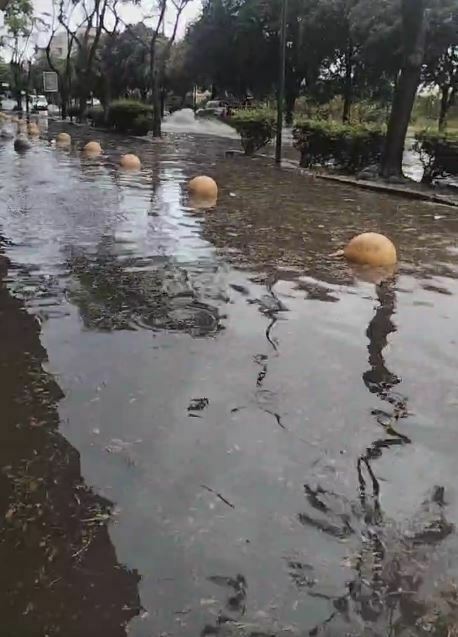 reggio calabria allagata dopo pioggia