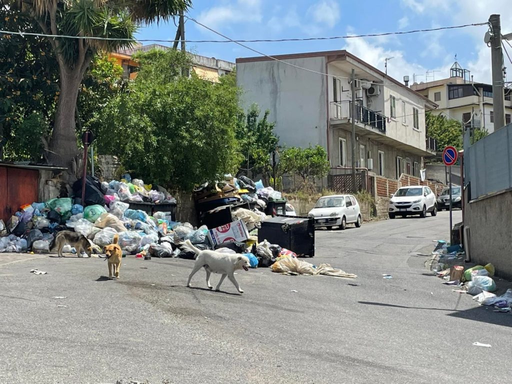 rifiuti sala mosorrofa reggio calabria