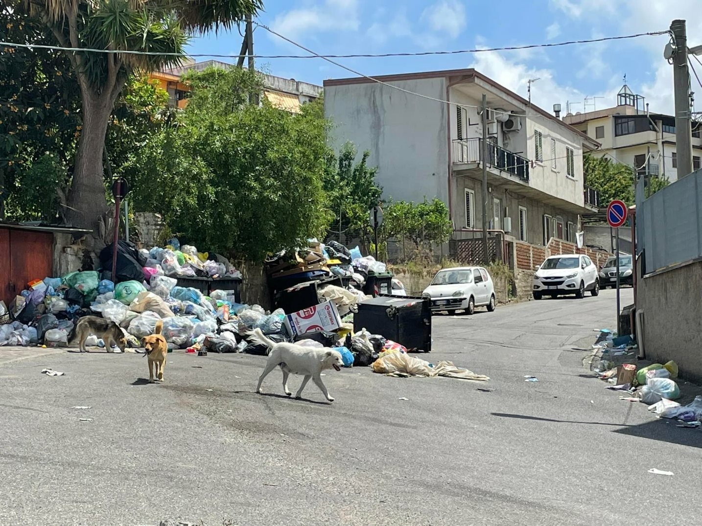 rifiuti sala mosorrofa reggio calabria