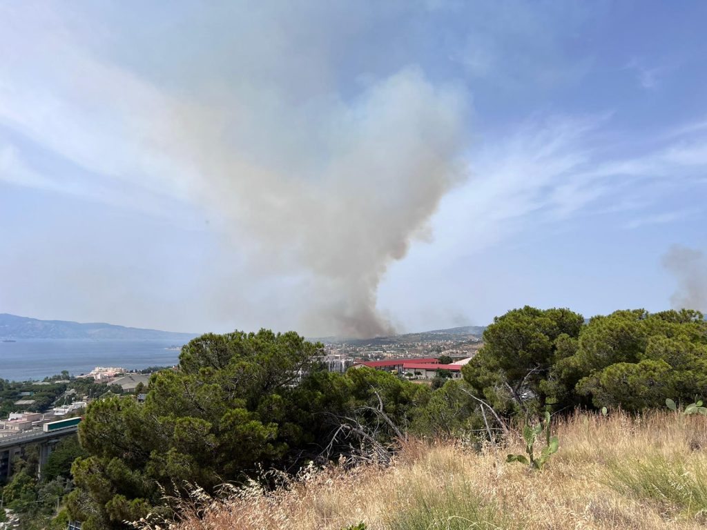 incendi reggio calabria