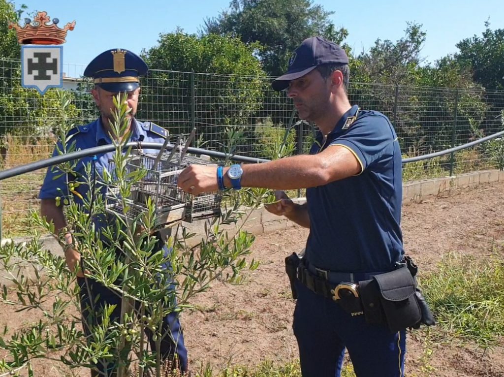 Polizia Provinciale CS