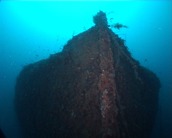 Relitto della Motonave Viminale La gigantesca prua