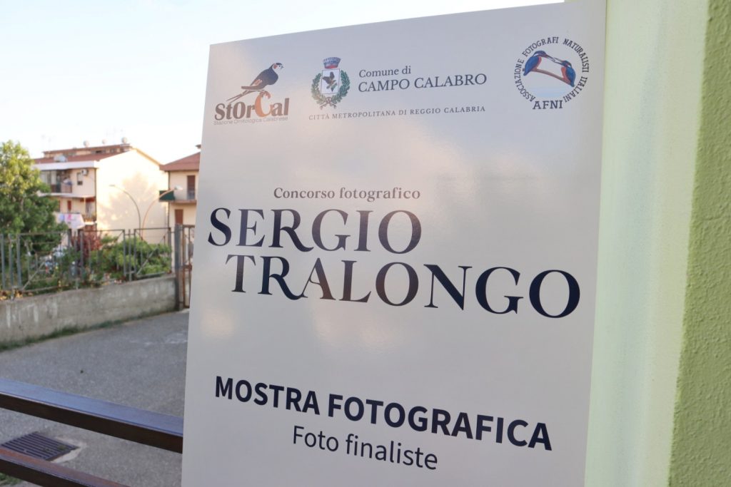 concorso fotografico Sergio Tralongo