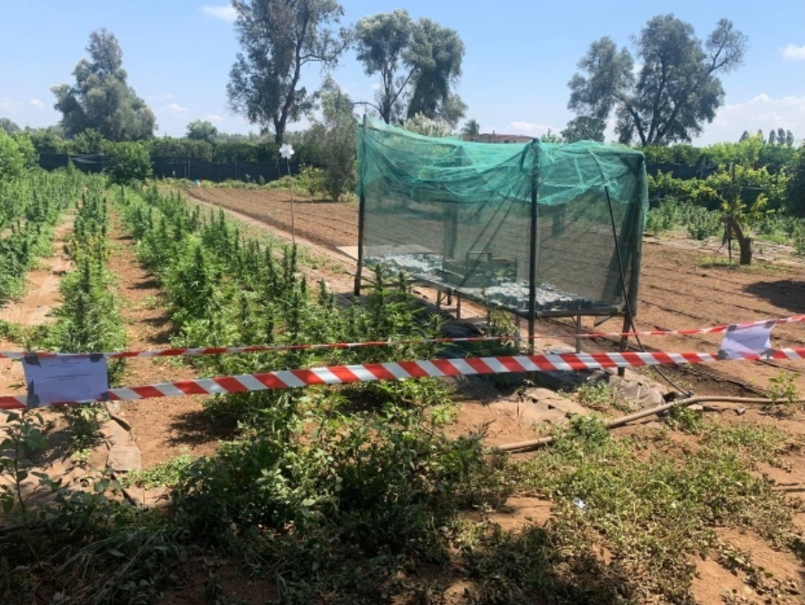 controlli carabinieri droga