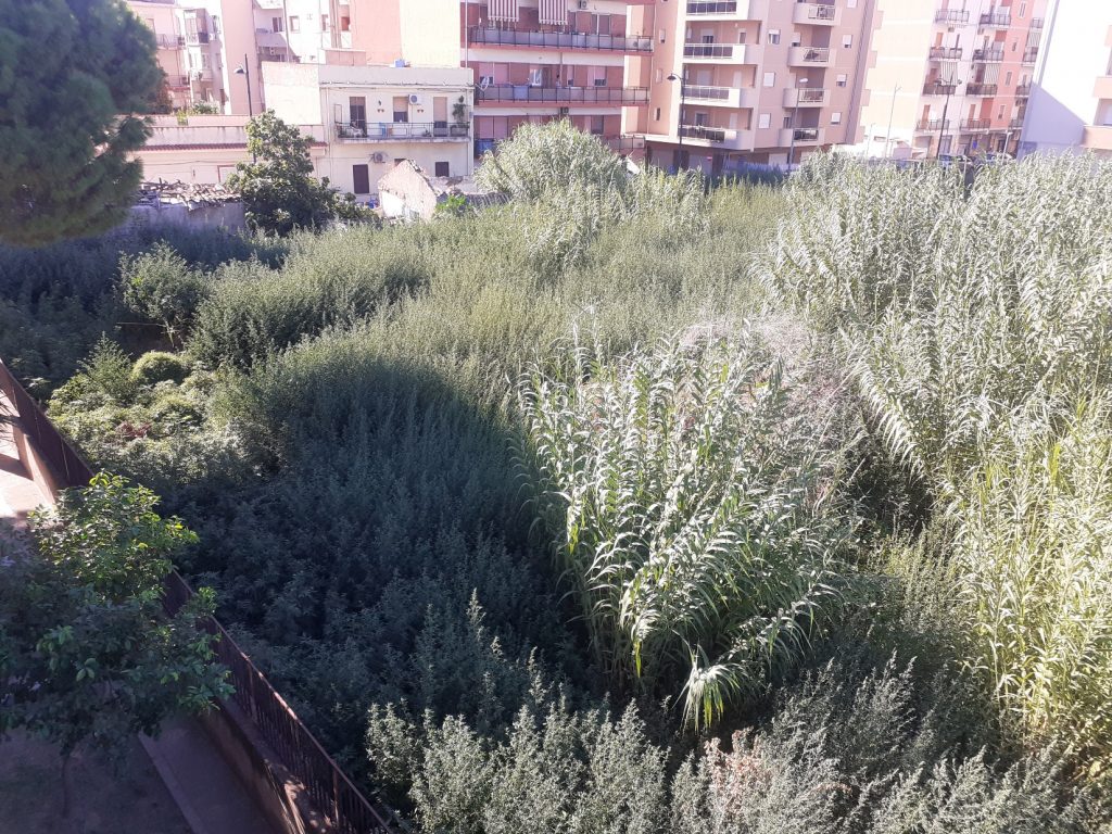 Orto Botanico Viale Messina (2)