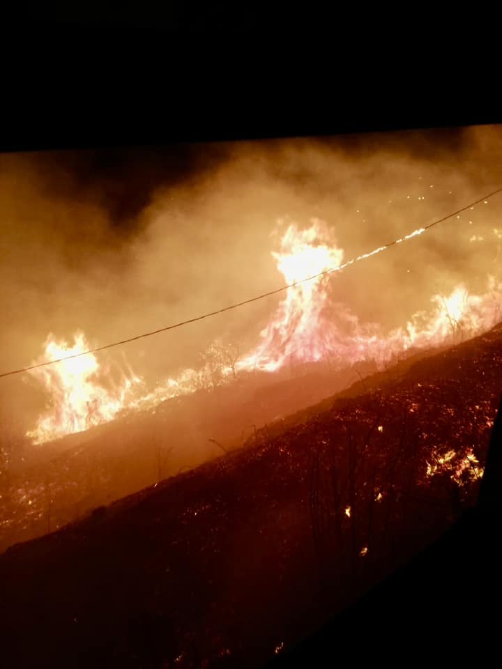 incendio sterpaglie tra bagnara e favazzina