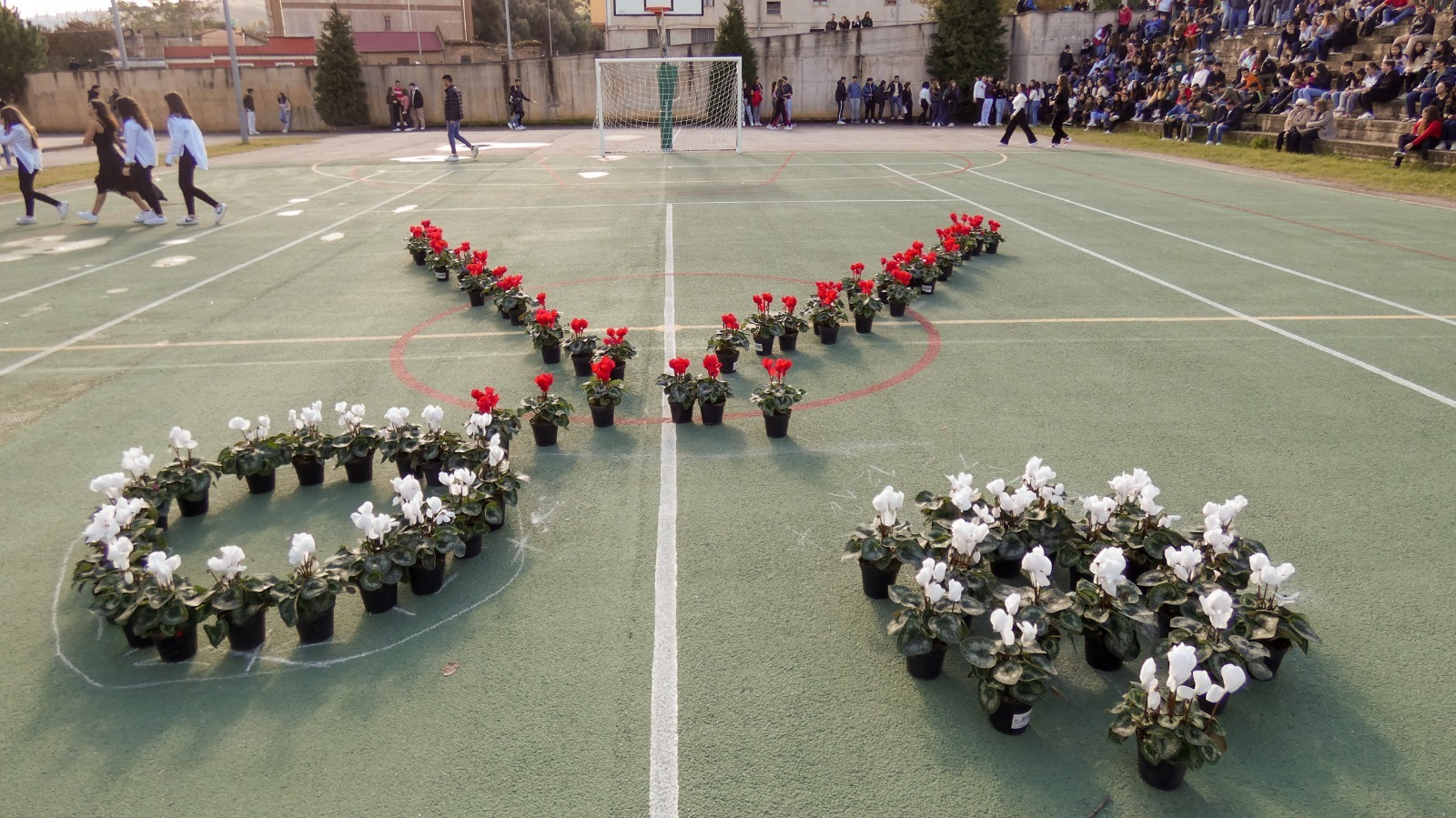 Scuola Pizi di Palmi iniziativa Giornata contro la violenza sulle donne