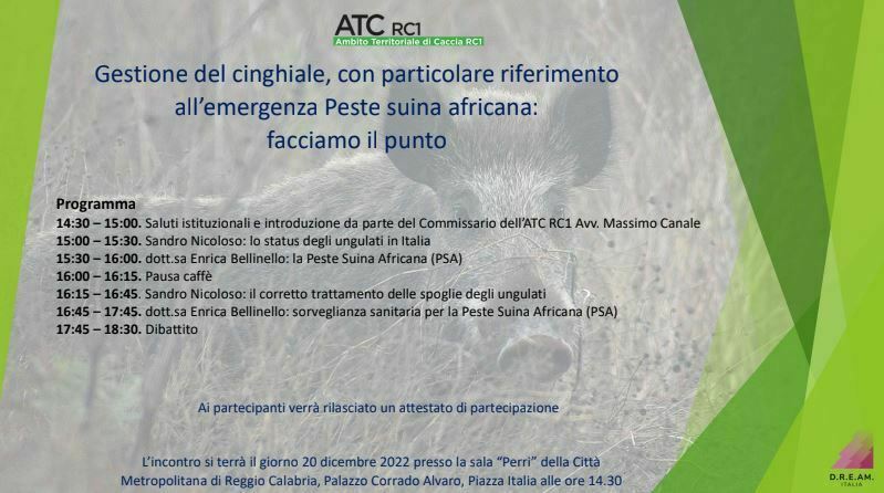 La gestione del Cinghiale e l’emergenza Peste suina africana