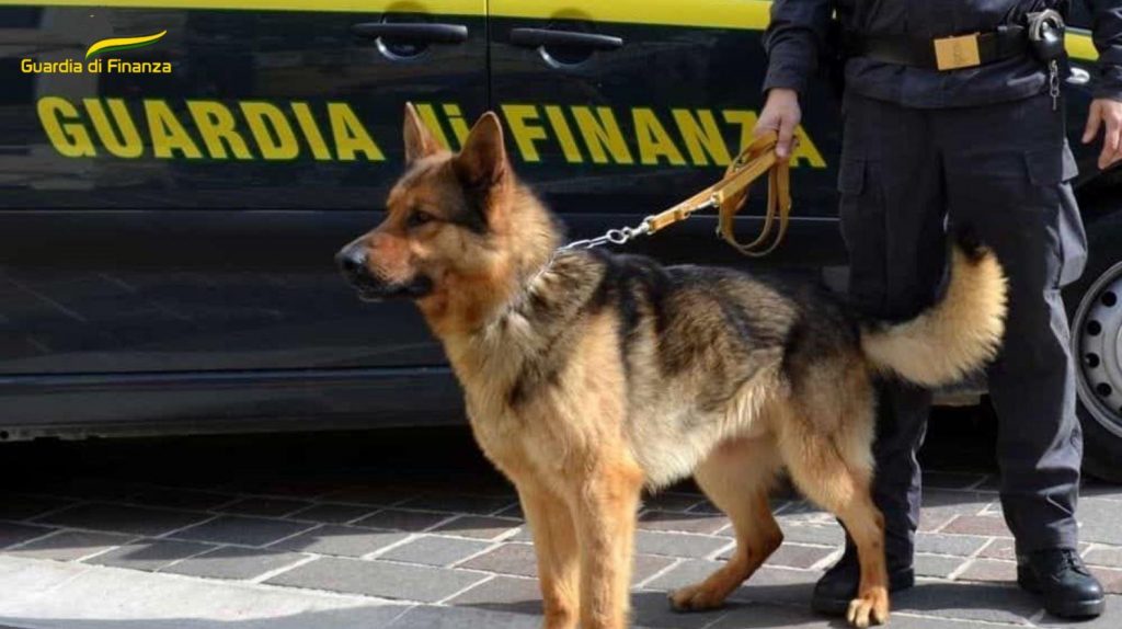 guardia di finanza cane