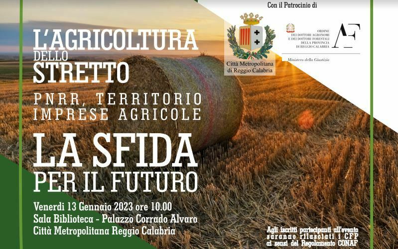 L'agricoltura dello Stretto PNRR, Territorio, Imprese Agricole. La Sfida del futuro