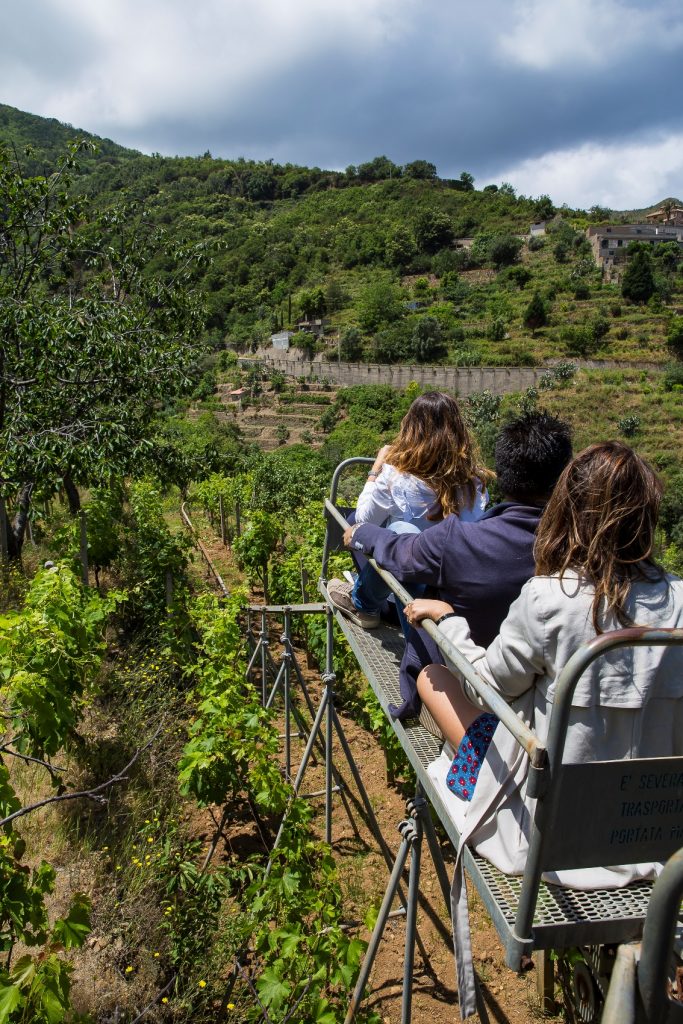 Mediterranei invisibili Biennale dello Stretto