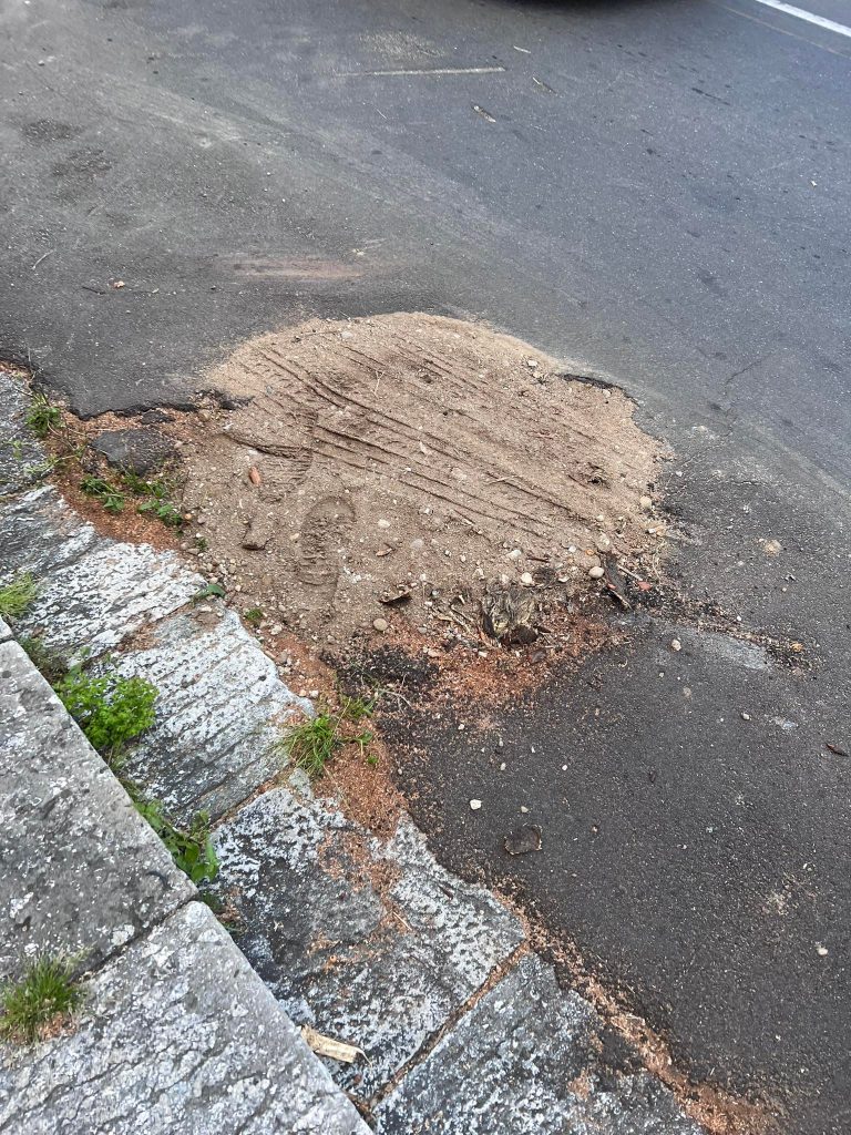 Alberi abbattuti intorno a Piazza De Nava