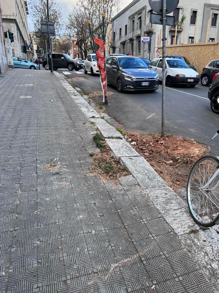 Alberi abbattuti intorno a Piazza De Nava