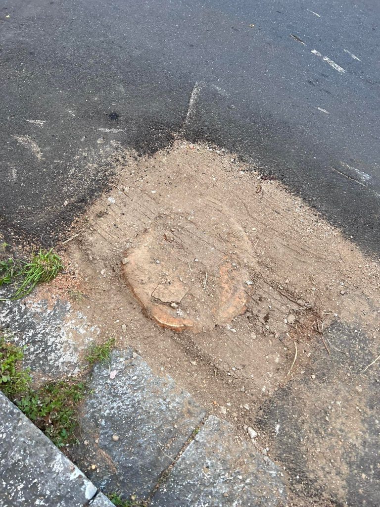 Alberi abbattuti intorno a Piazza De Nava