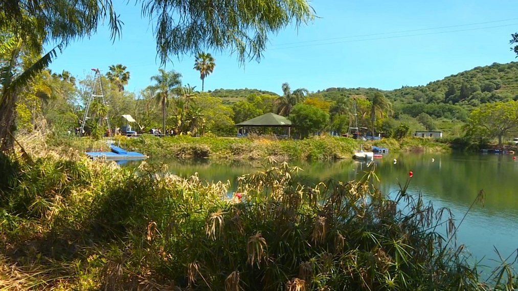 F. Amatori. Lago