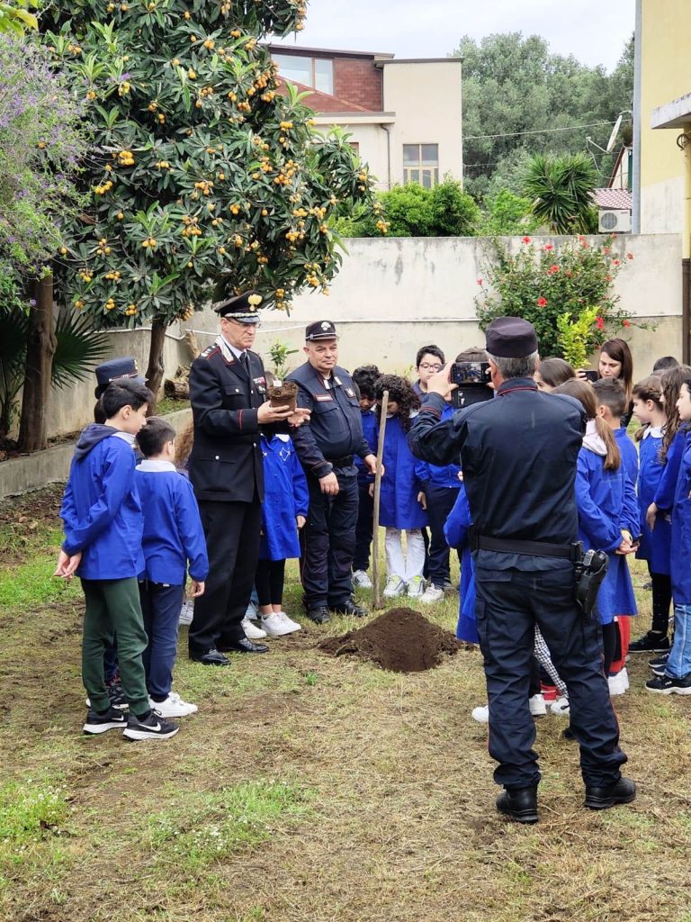 Gioia Tauro Donato A Una Scuola L Albero Di Falcone Simbolo Di Lotta Alle Mafie