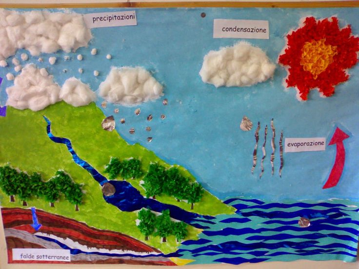 Educazione Ambientale Calabria "Mi curo di te"