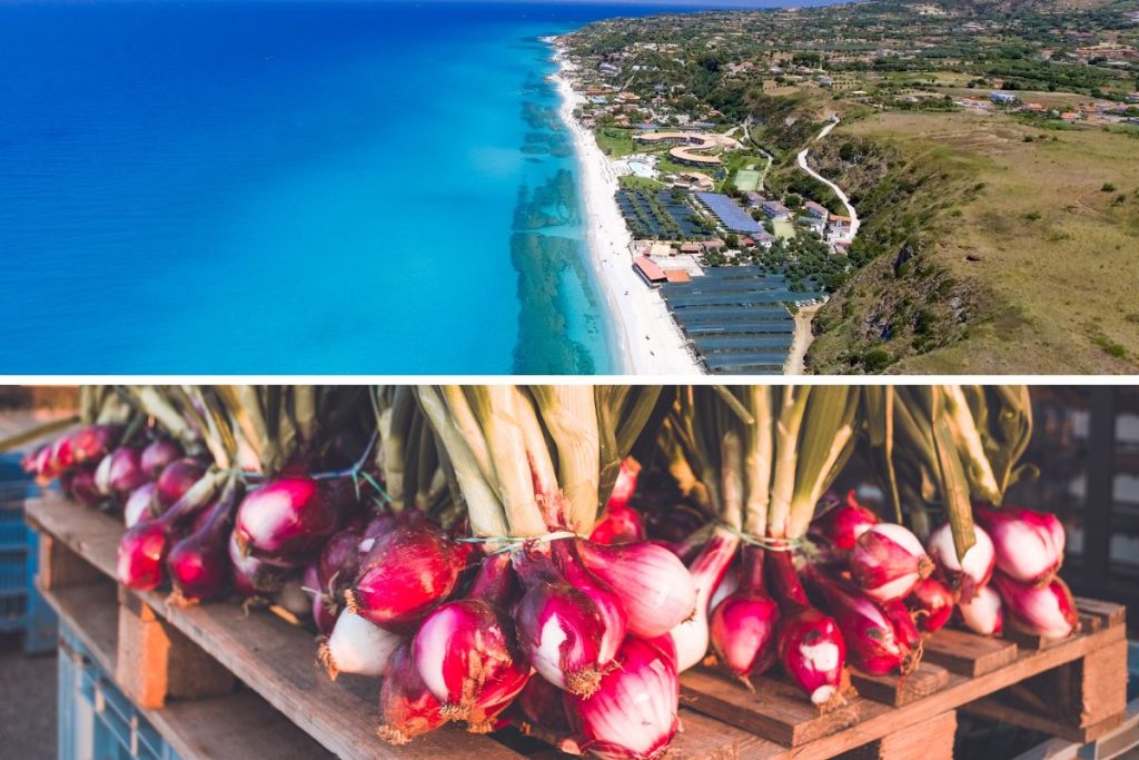 cipolla rossa di tropea