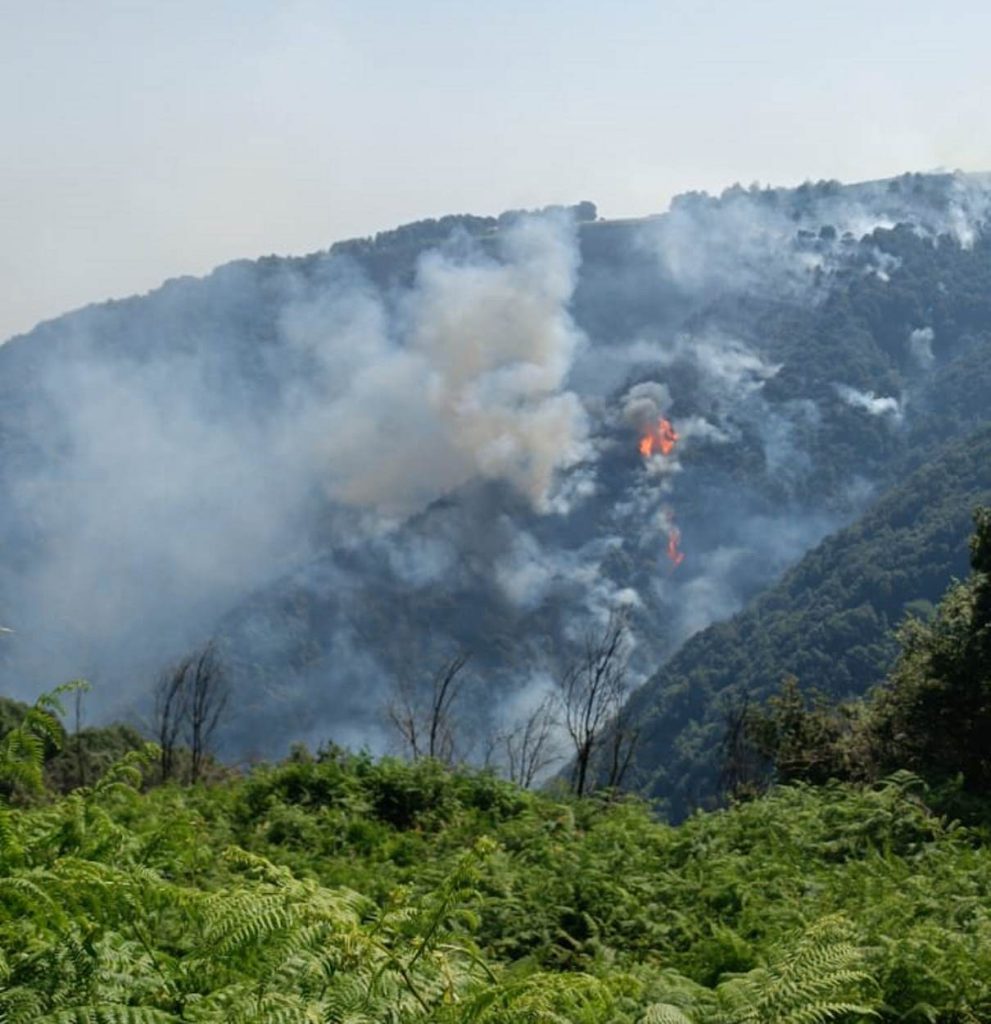 incendi Piani dell'Aspromonte