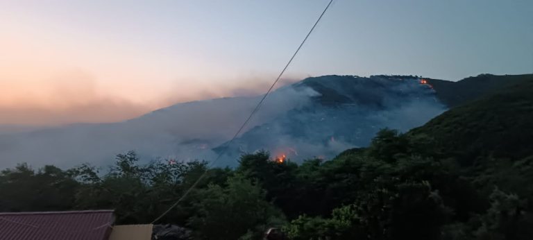 incendi Piani dell'Aspromonte