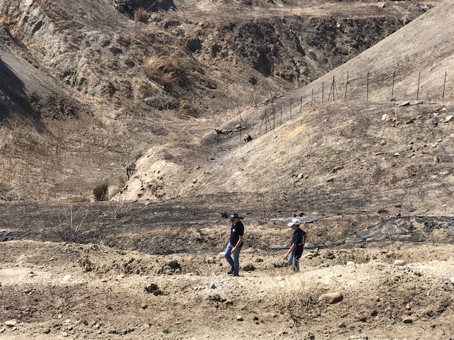 lazzaro incendi discarica