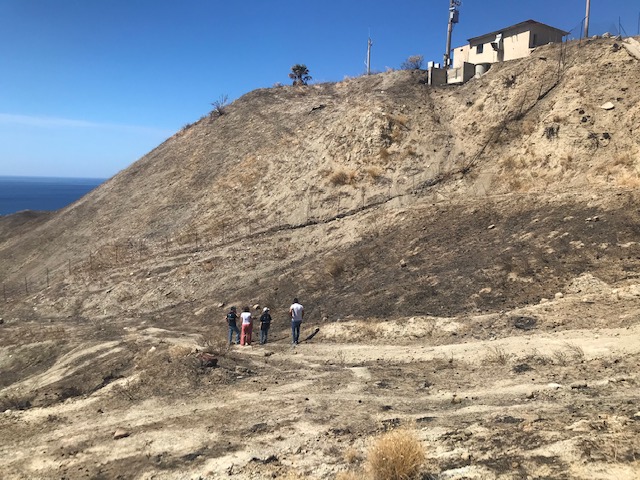 lazzaro incendi discarica