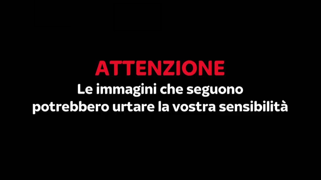 attenzione le immagini che seguono potrebbero urtare la vostra sensibilità