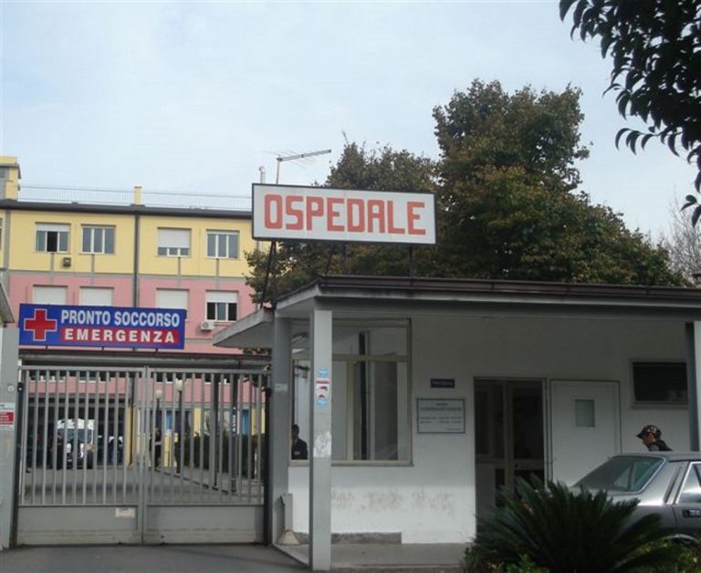 ospedale vibo valentia