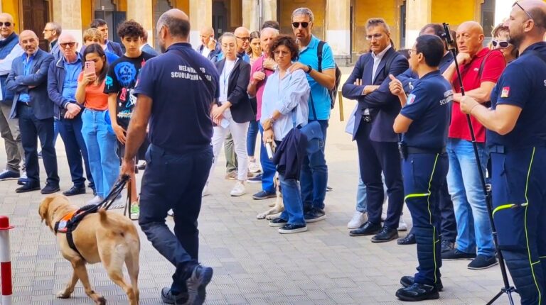 Foto e -la dimostrazione finale con i cani guida