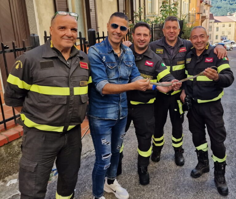 Serpente in pieno centro abitato recuperato a San Giovanni in Fiore