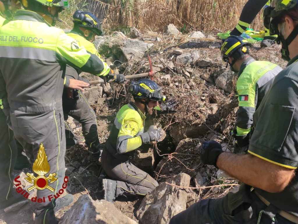 cane cade e rimane incastrato