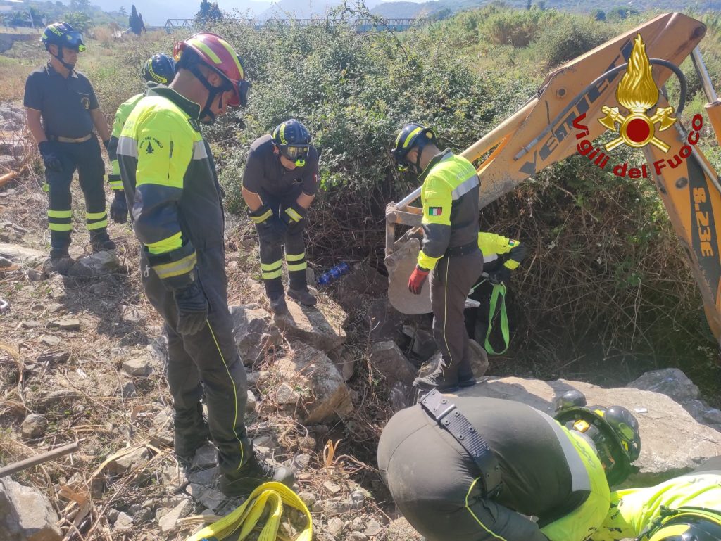 cane cade e rimane incastrato