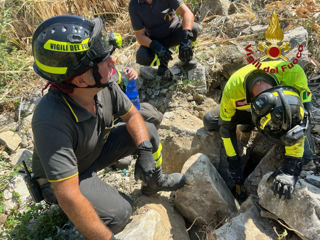 cane cade e rimane incastrato