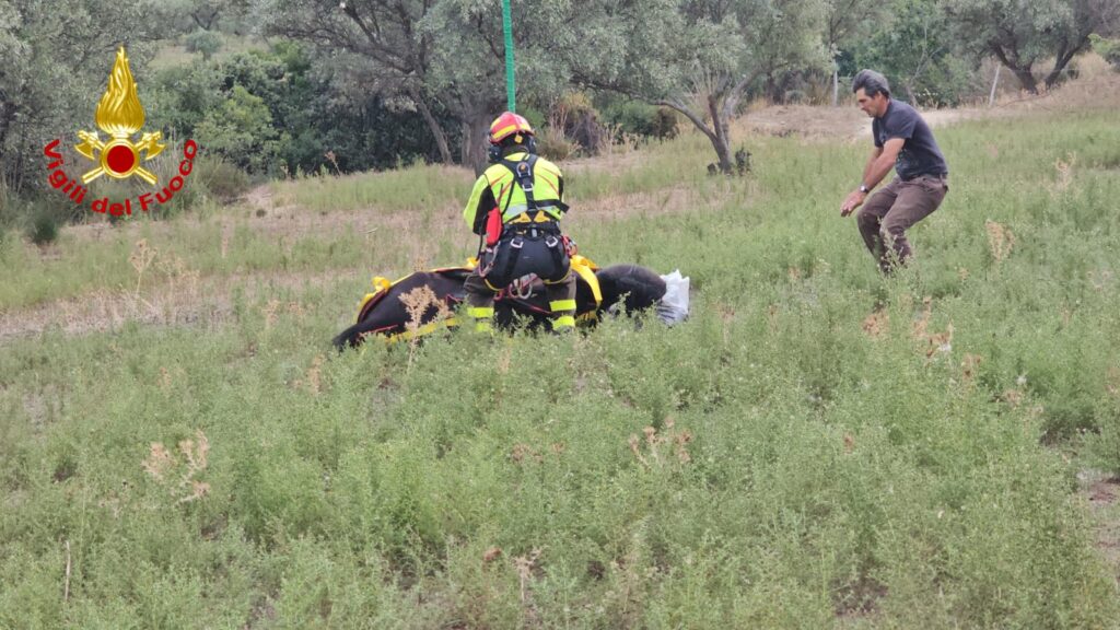 cavallo cade in un dirupo (1)