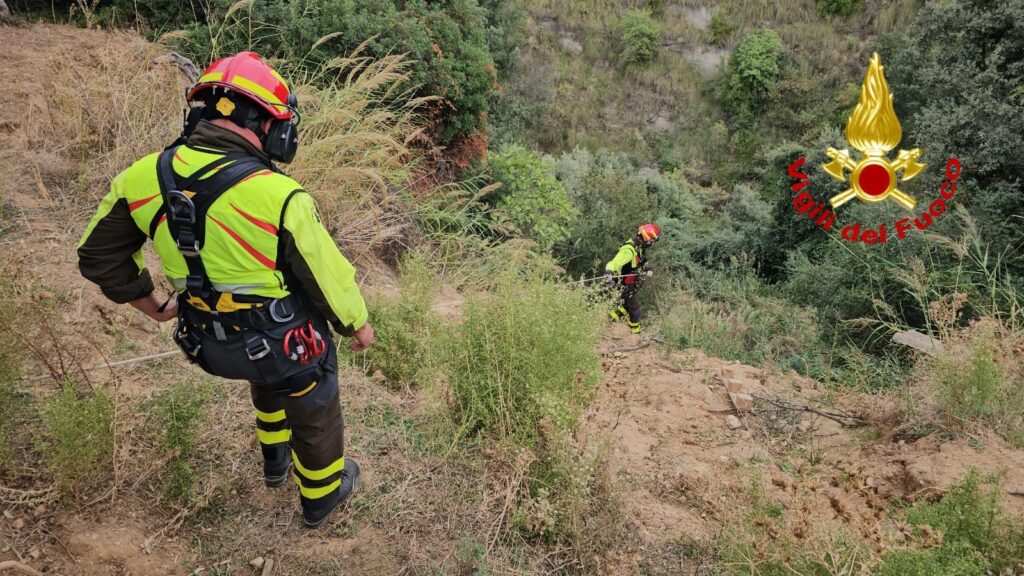 cavallo cade in un dirupo (1)