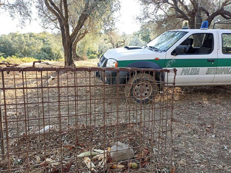 sequestro polizia metropolitana