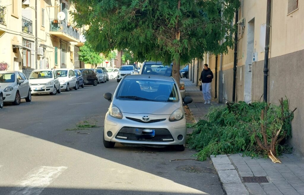 alberi caduti maltempo