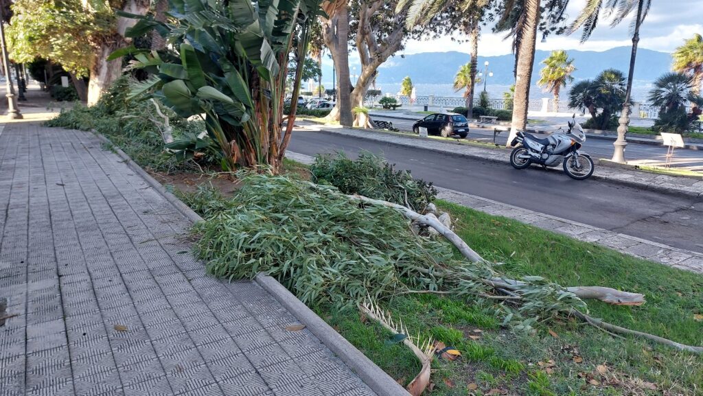 alberi caduti maltempo