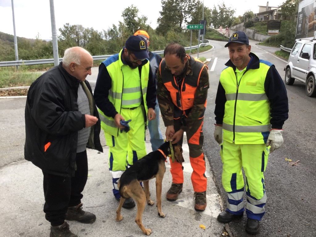 cane Laino Borgo anas