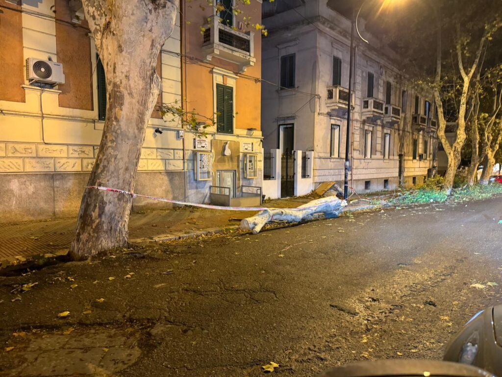 crollo albero reggio calabria