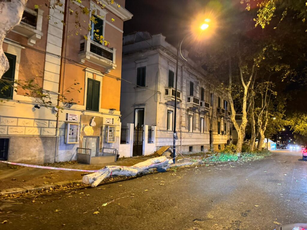 crollo albero reggio calabria