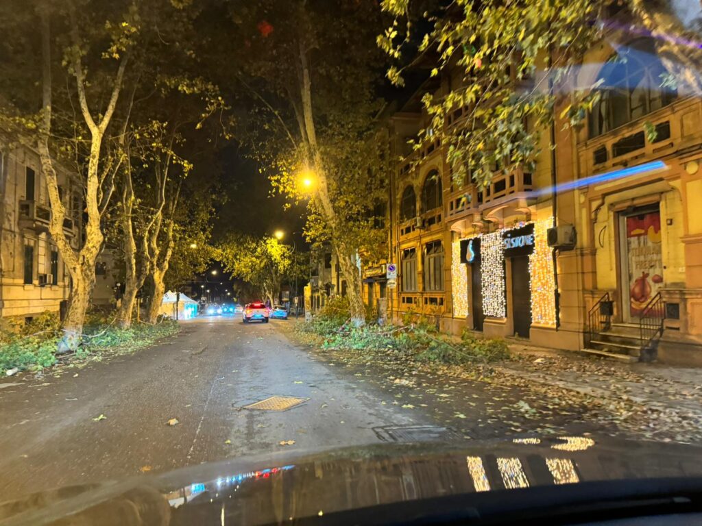 crollo albero reggio calabria