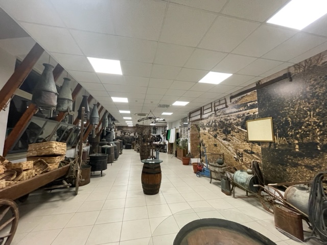 museo del bergamotto striscia la notizia