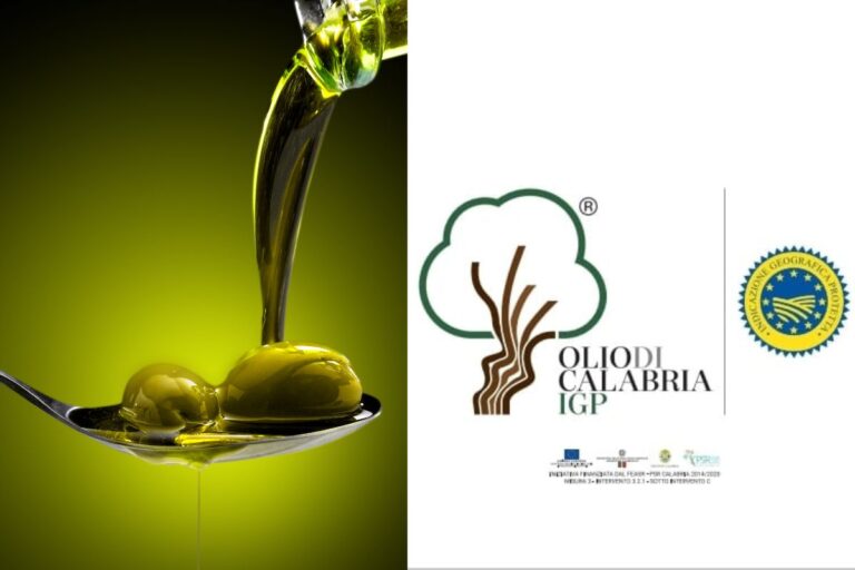 olio igp calabria