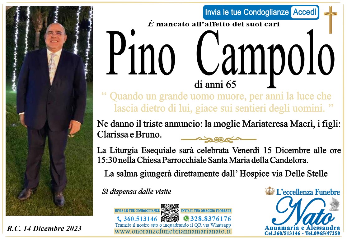 PINO CAMPOLO