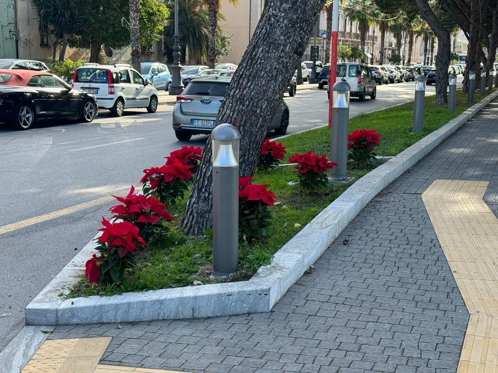 aiuole natale reggio calabria