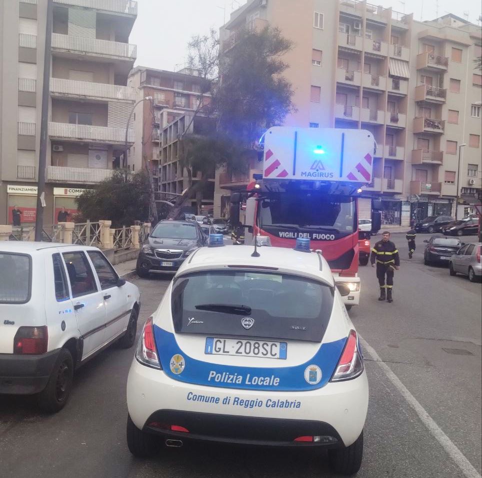 albero si spezza zona ospedale