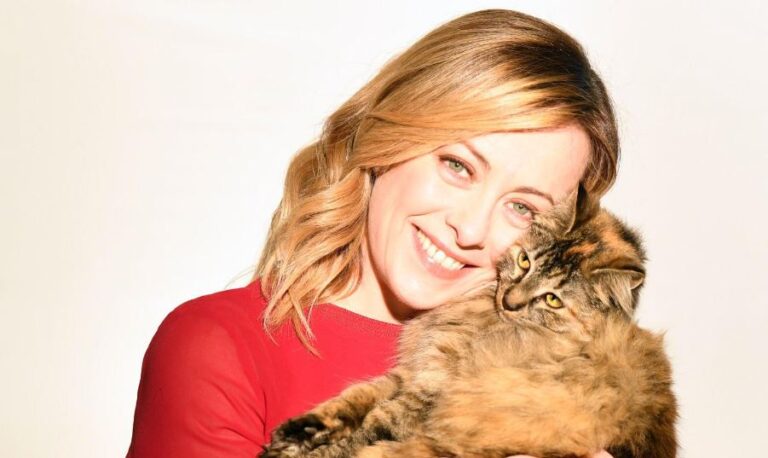 giorgia meloni foto con gatto