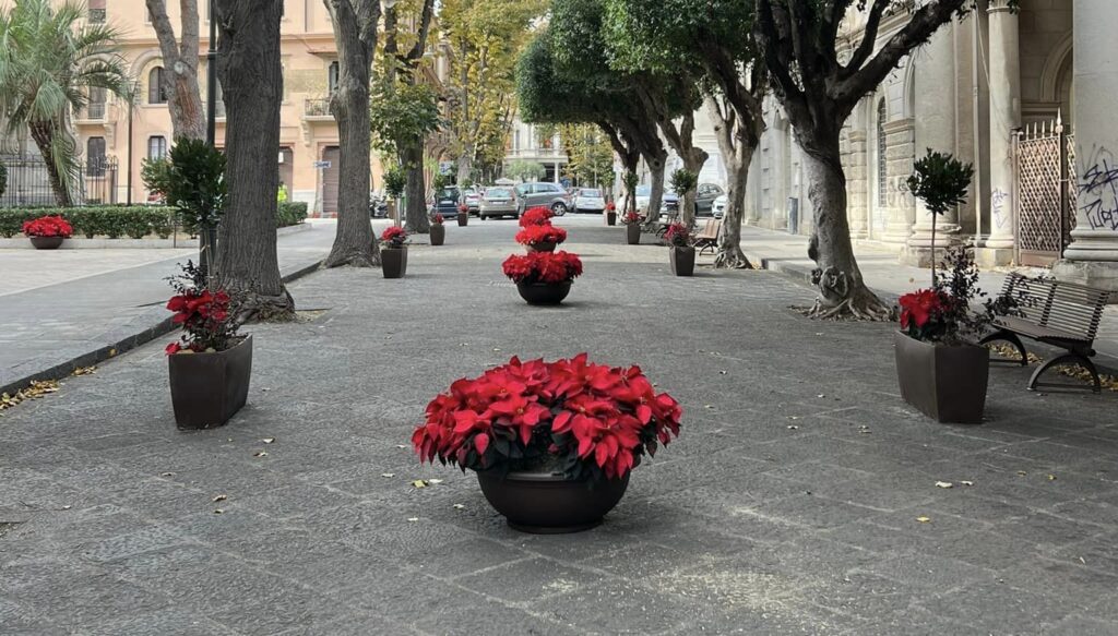 natale messina