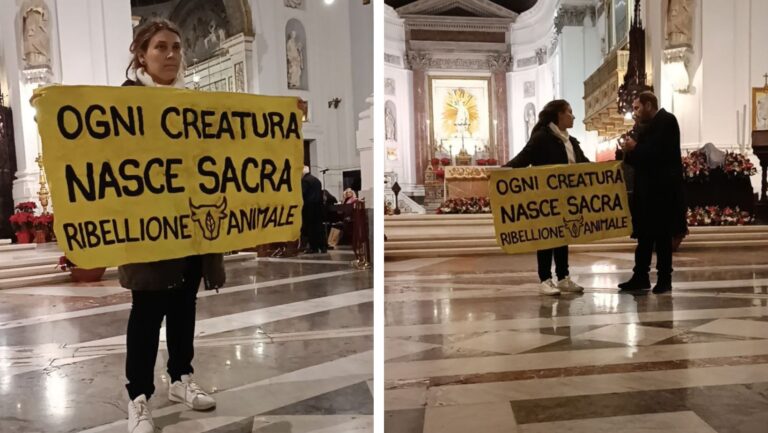 ribellione animale cattedrale di palermo